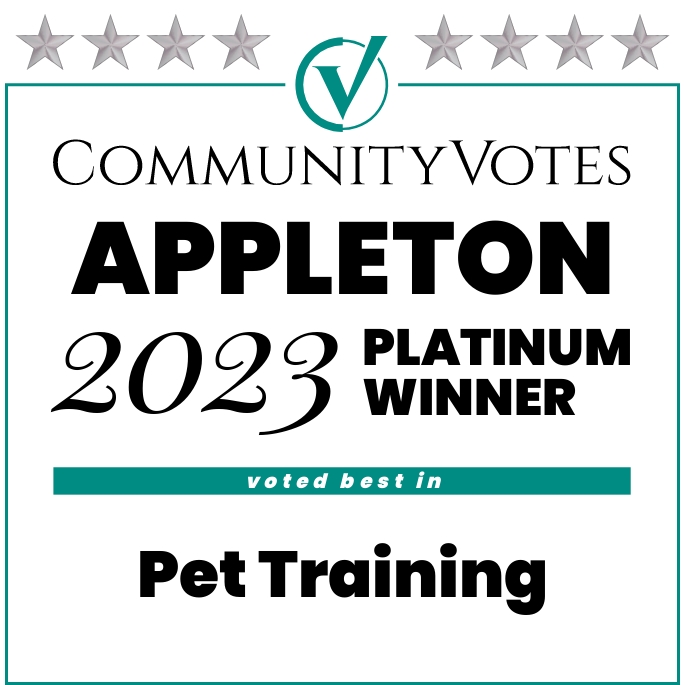 Account Rock Solid Dogs